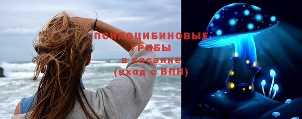 ECSTASY Дмитровск
