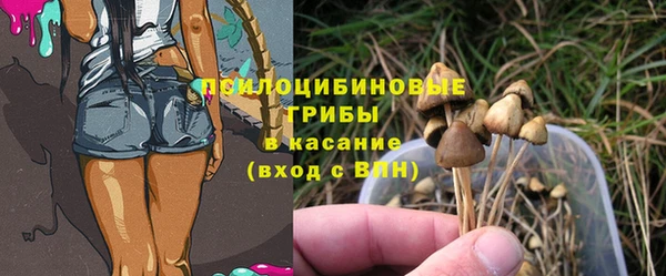 каннабис Сясьстрой